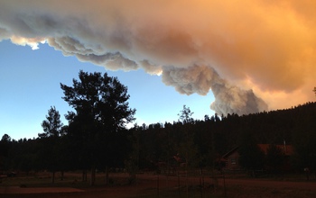 A forest, with smoke clouds rising behind it.